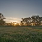 Sonnenaufgang im Itzgrund