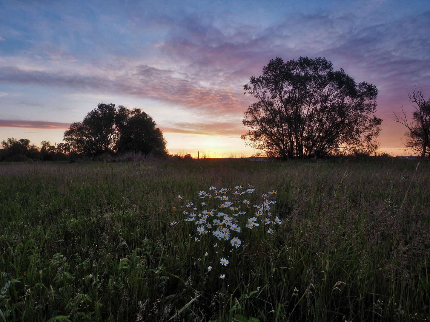 Sonnenaufgang im Itzgrund II