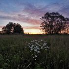 Sonnenaufgang im Itzgrund II