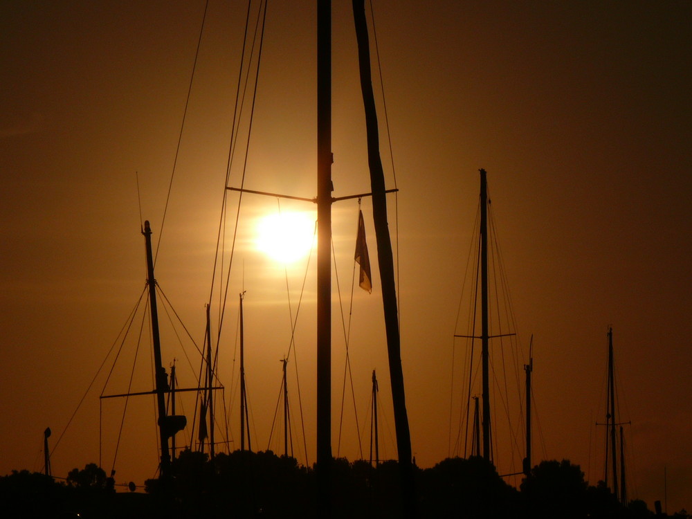 Sonnenaufgang im Jachthafen von Cala Dor!