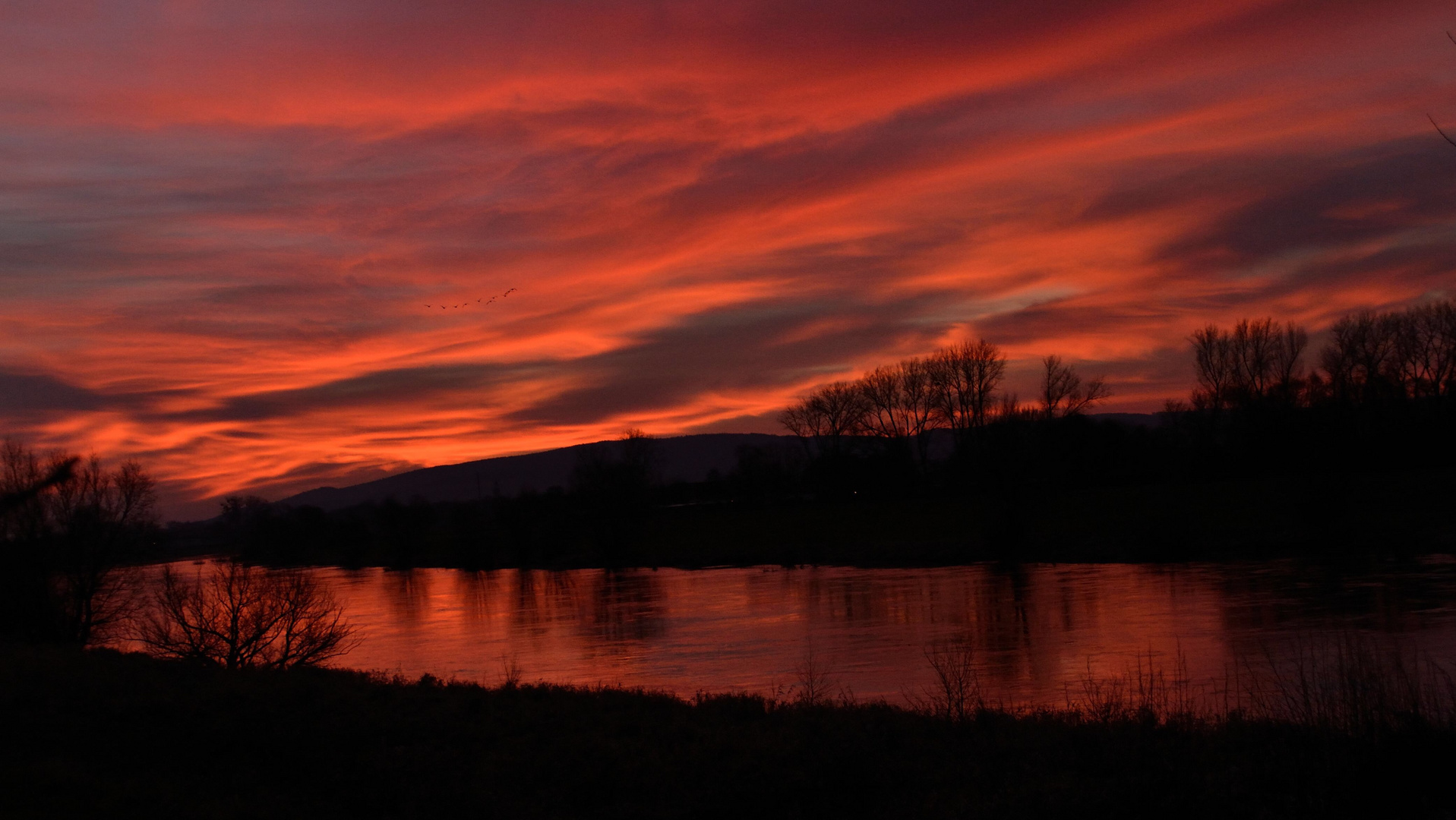 Sonnenaufgang im Januar