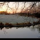 Sonnenaufgang im Januar