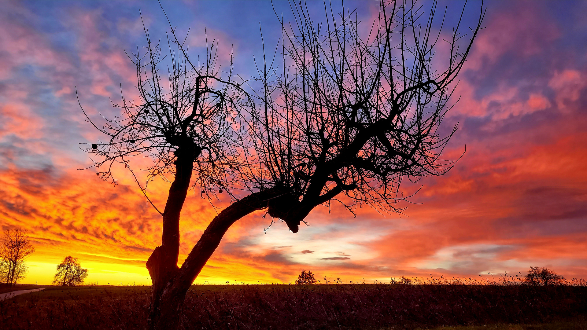 Sonnenaufgang im Januar