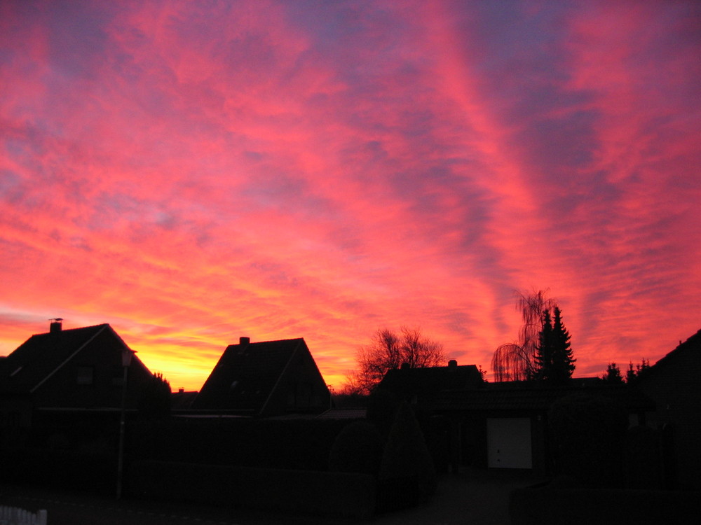 Sonnenaufgang im Januar