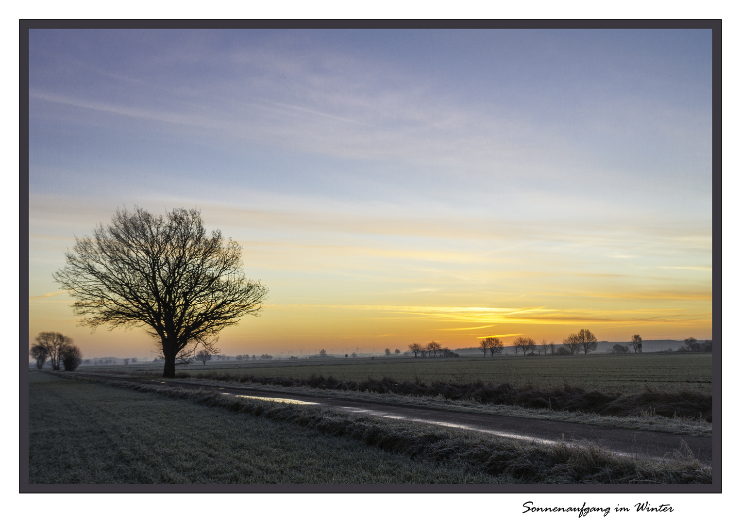 Sonnenaufgang im Januar