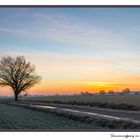 Sonnenaufgang im Januar