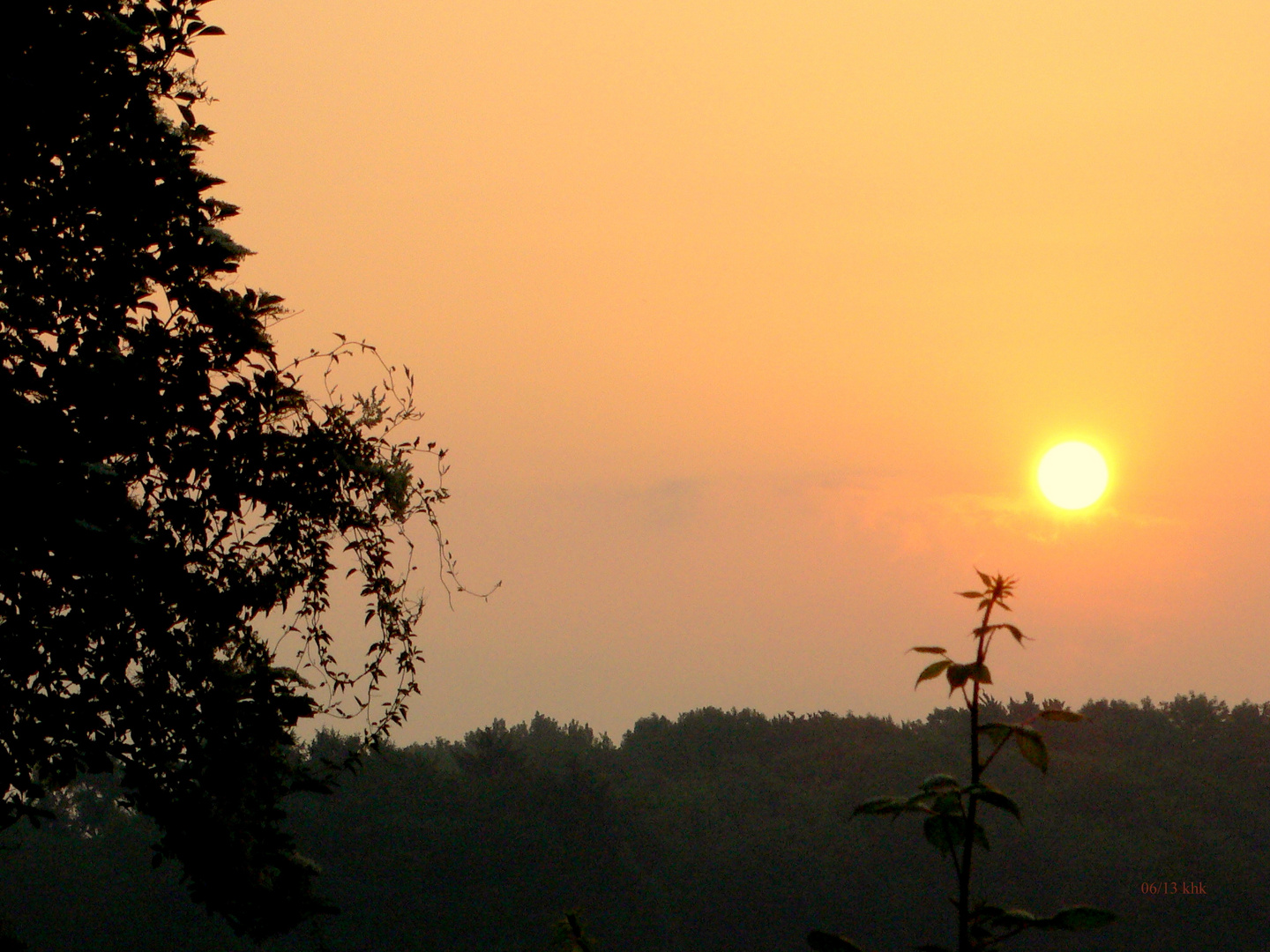 Sonnenaufgang im Juni