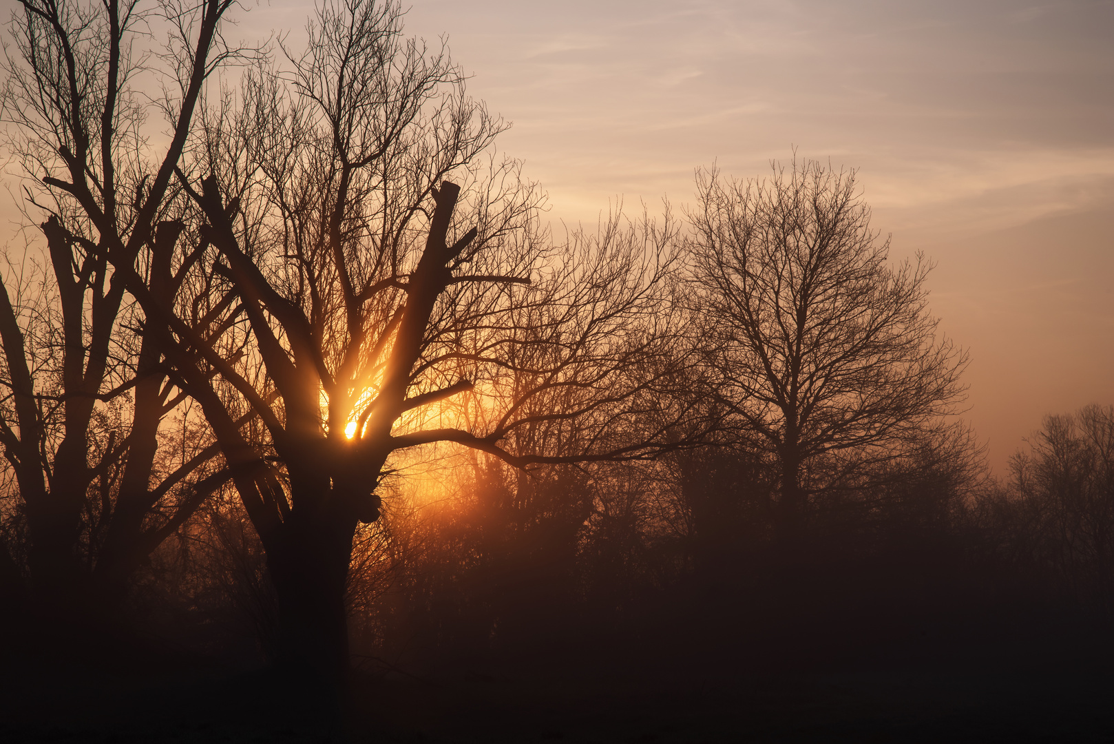 Sonnenaufgang im Kahlgrund