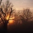 Sonnenaufgang im Kahlgrund