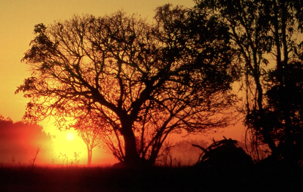 Sonnenaufgang im Kakadu Nationalpark