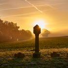 Sonnenaufgang im kalten Morgennebel