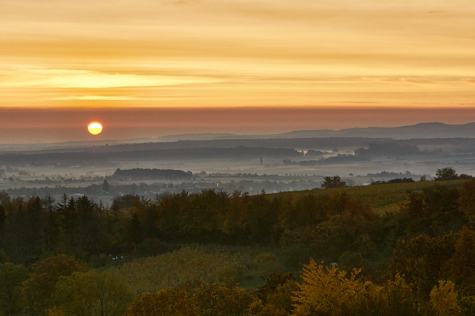 Sonnenaufgang im kalten Nebel