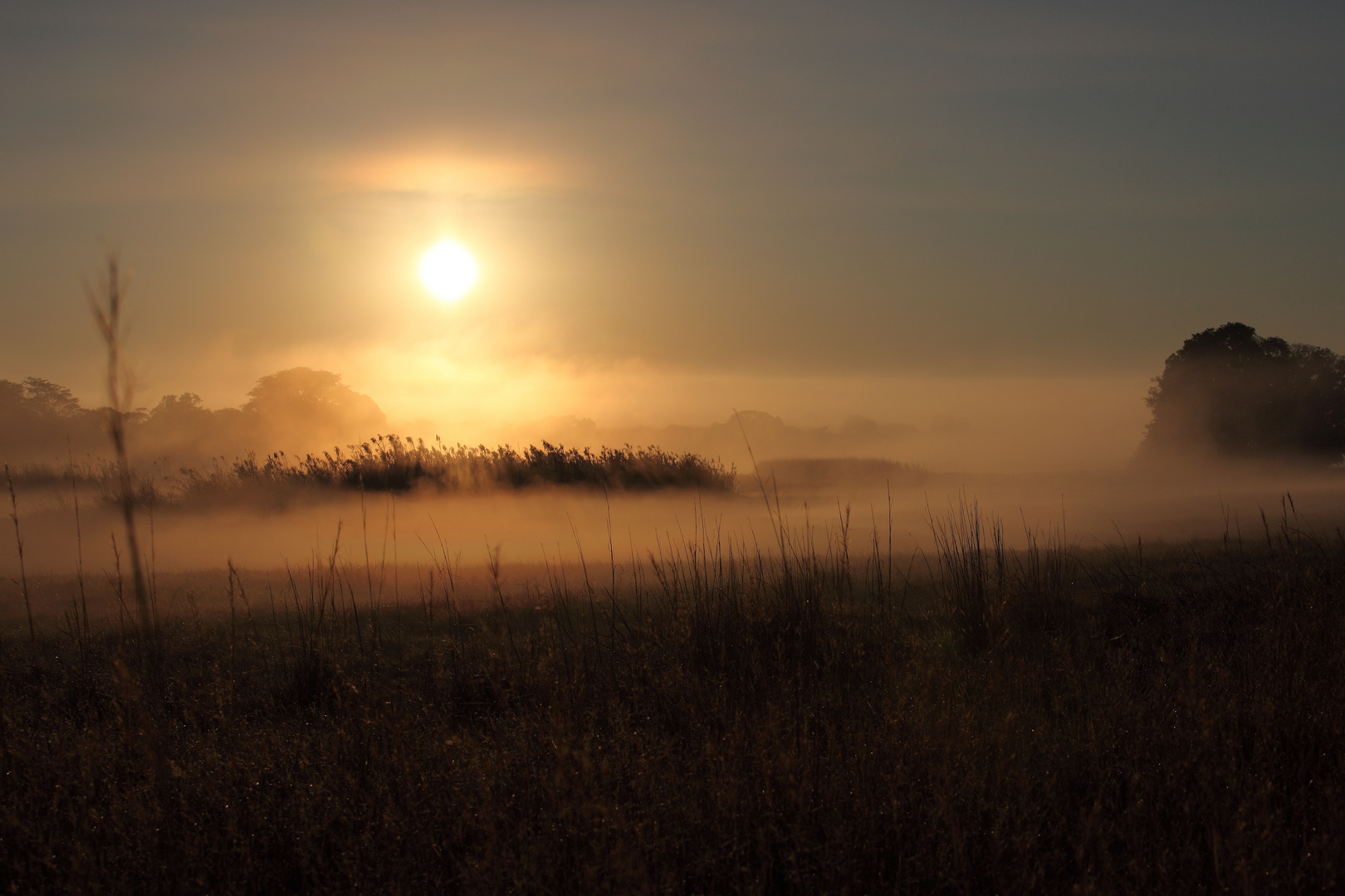 Sonnenaufgang im Kasanka-Nationalpark, Sambia