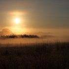 Sonnenaufgang im Kasanka-Nationalpark, Sambia