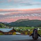 Sonnenaufgang im Kleinwalsertal