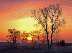 Sonnenaufgang im Knoblauchsland