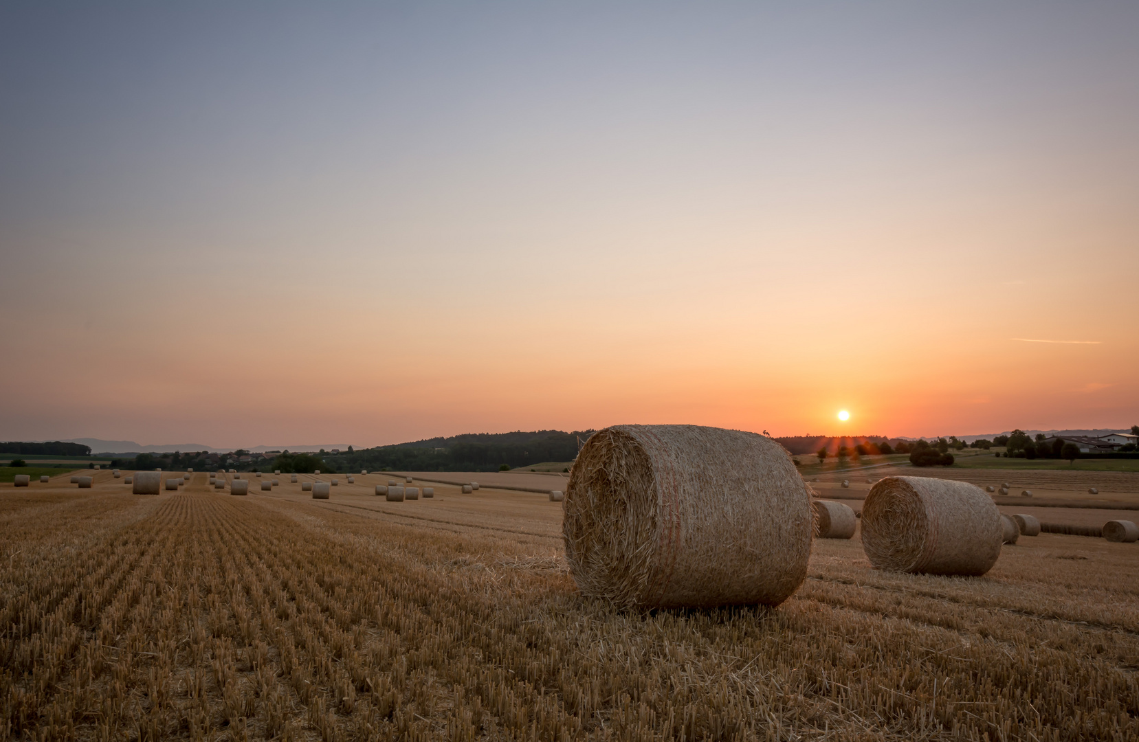 Sonnenaufgang im Kornfeld