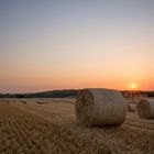 Sonnenaufgang im Kornfeld