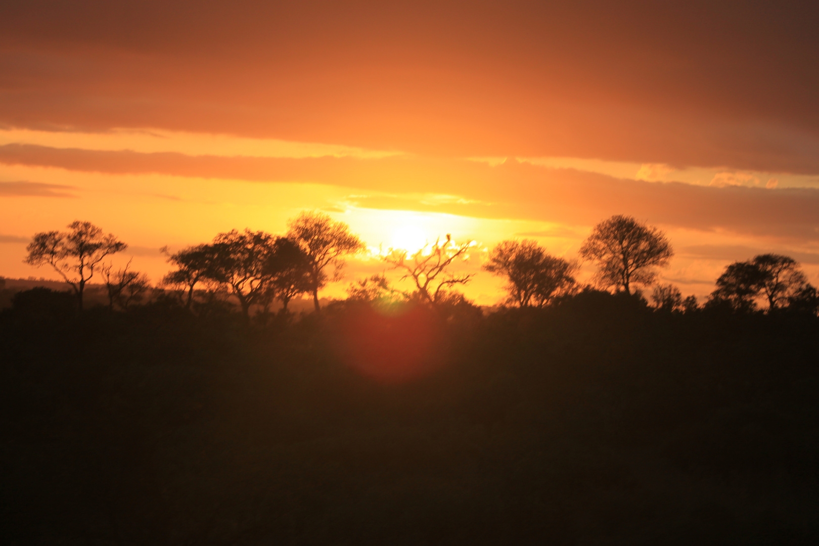 Sonnenaufgang im Krüger-Nationalpark