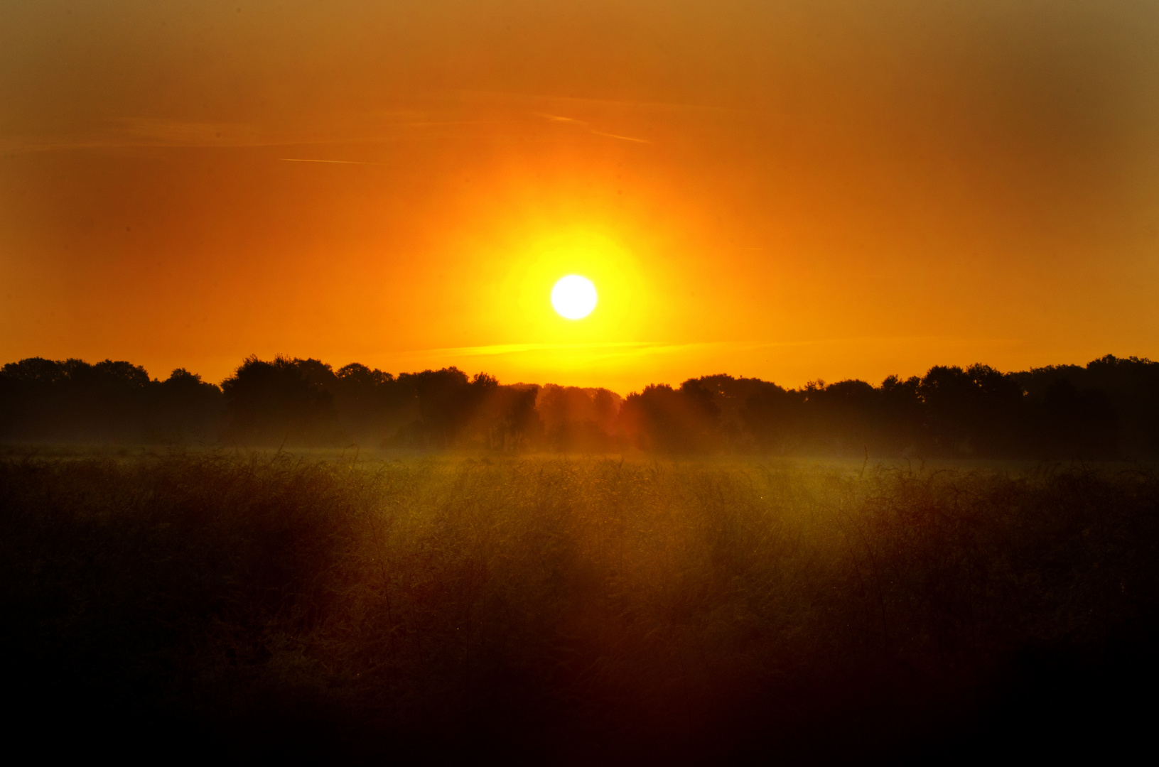 Sonnenaufgang im Kuhlenvenn