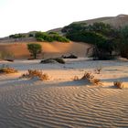 Sonnenaufgang im Kuiseb Revier-Namibia