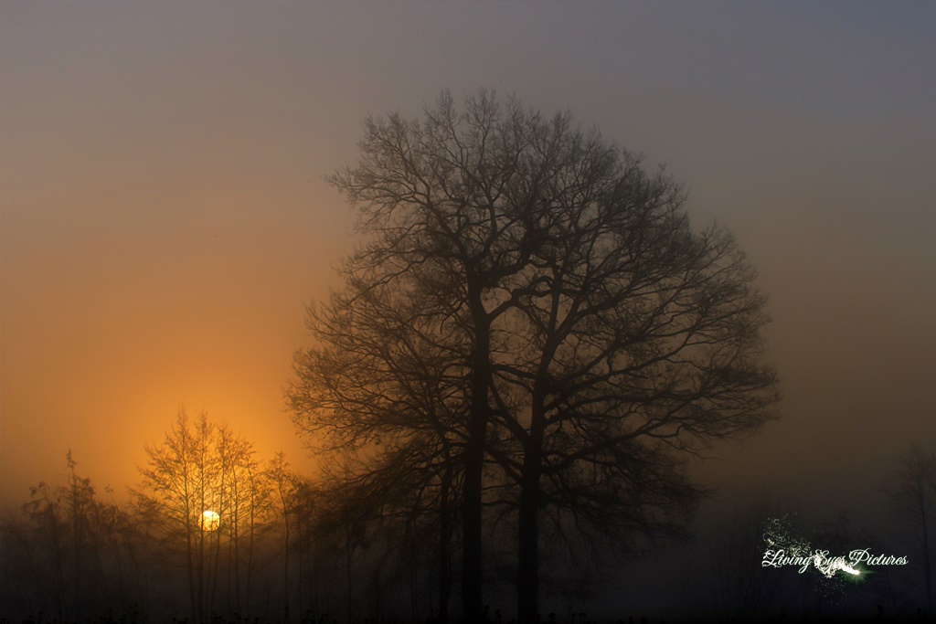 Sonnenaufgang im Land der Feen und Elfen 