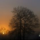 Sonnenaufgang im Land der Feen und Elfen 