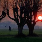 Sonnenaufgang im Land Hadeln