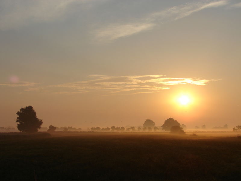 Sonnenaufgang im leichten Nebel