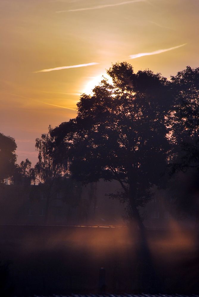 Sonnenaufgang im Leichten Nebel