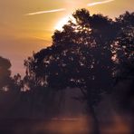 Sonnenaufgang im Leichten Nebel