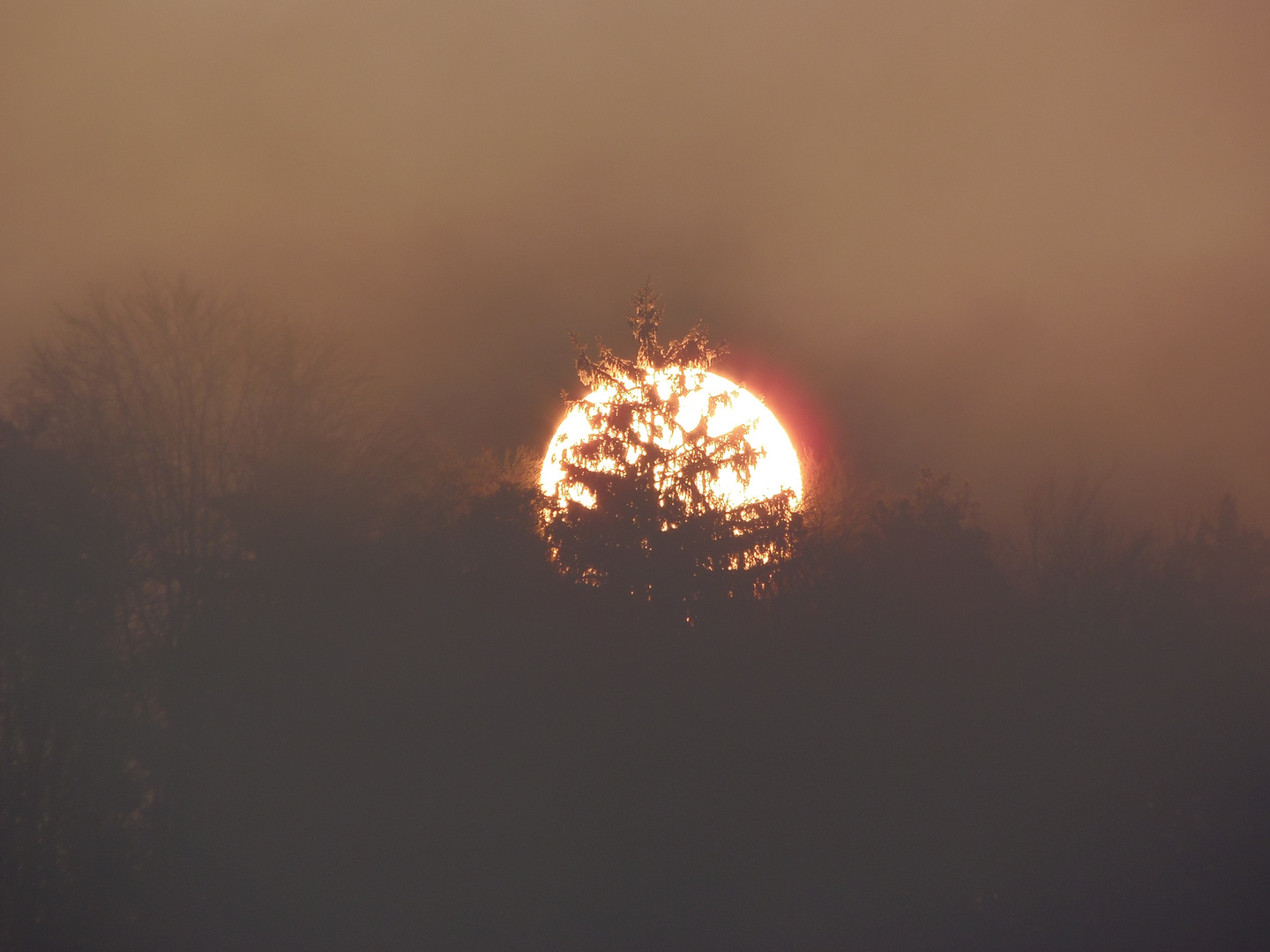 Sonnenaufgang im März