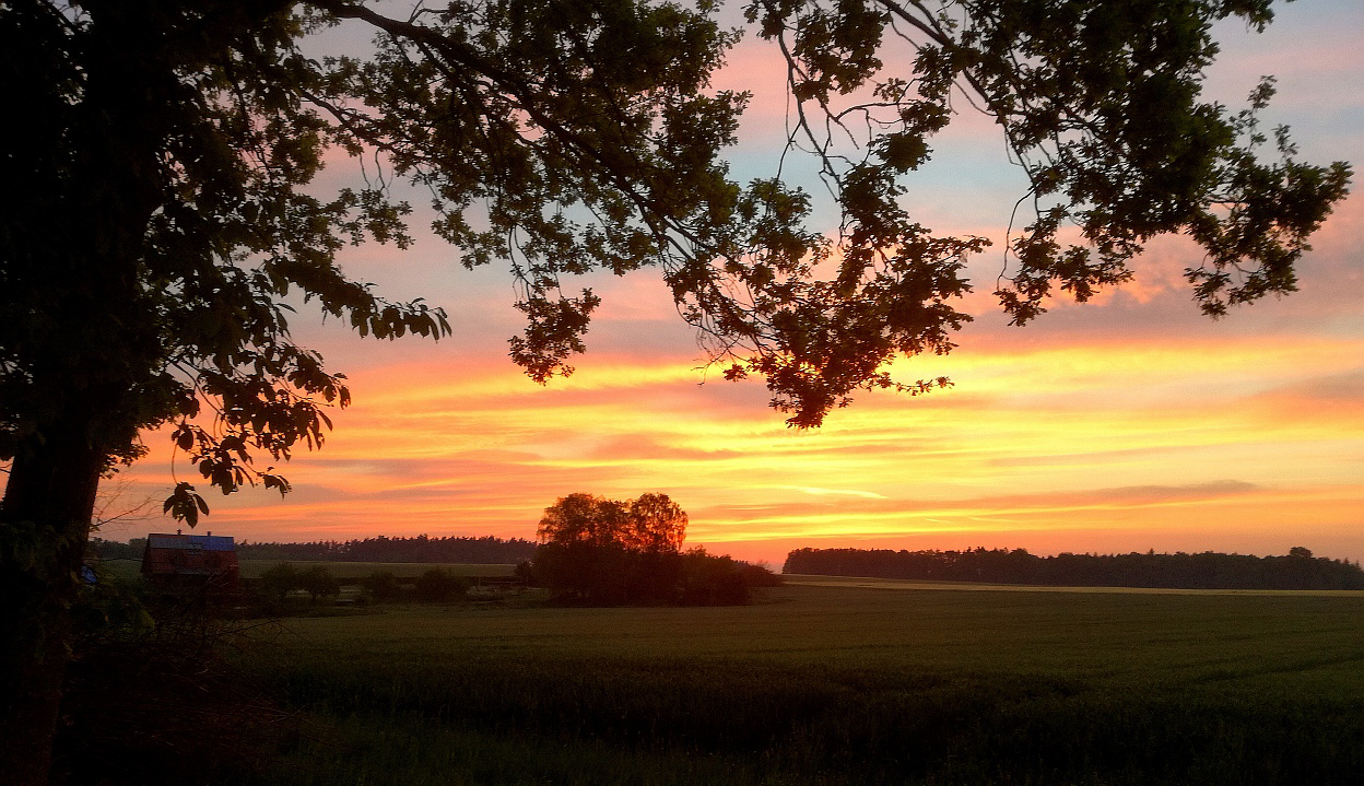 Sonnenaufgang im Mai