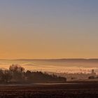 Sonnenaufgang im Maintal