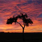 Sonnenaufgang im Mansfelder Land