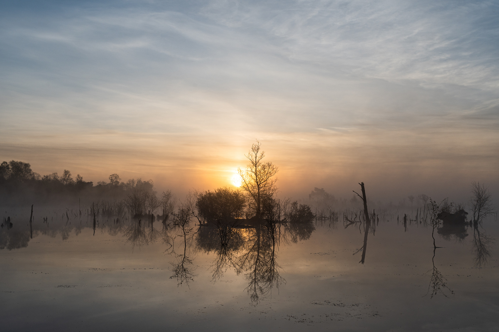 ____Sonnenaufgang im Moor__________________