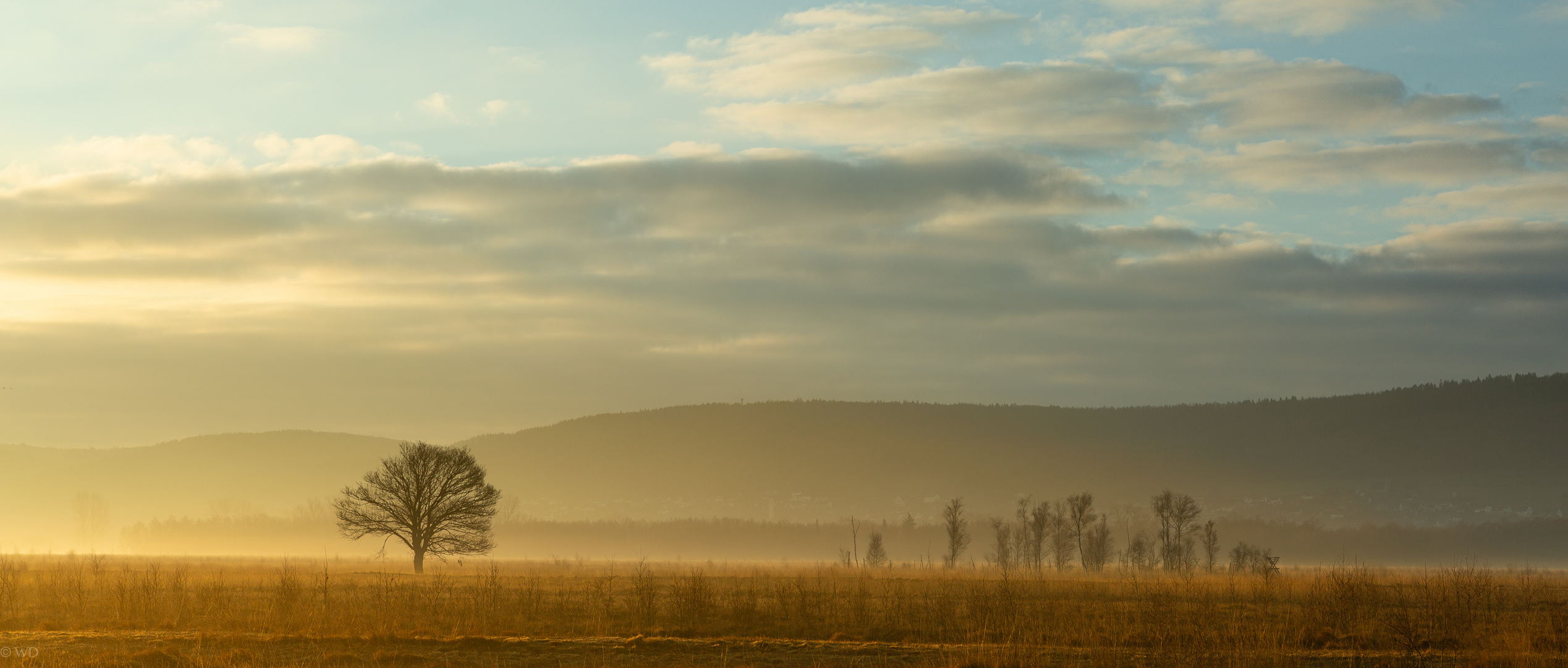 Sonnenaufgang im Moor