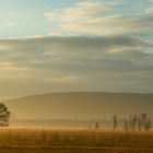 Sonnenaufgang im Moor