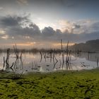 Sonnenaufgang im Moor