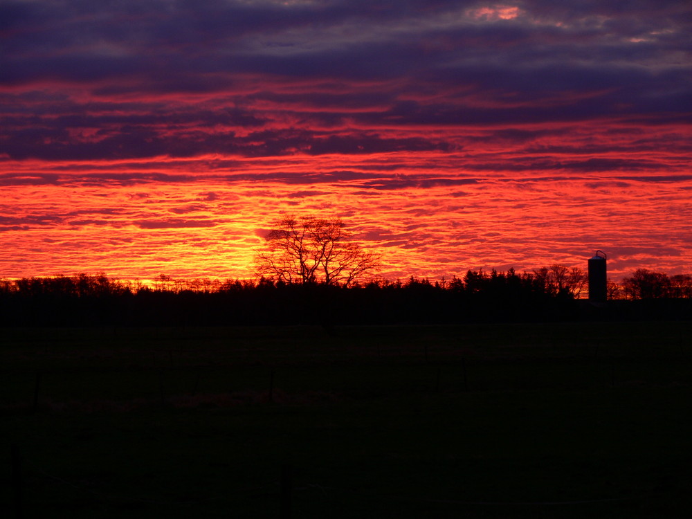 Sonnenaufgang im Moor