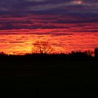 Sonnenaufgang im Moor