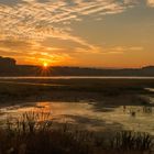 Sonnenaufgang im Moor