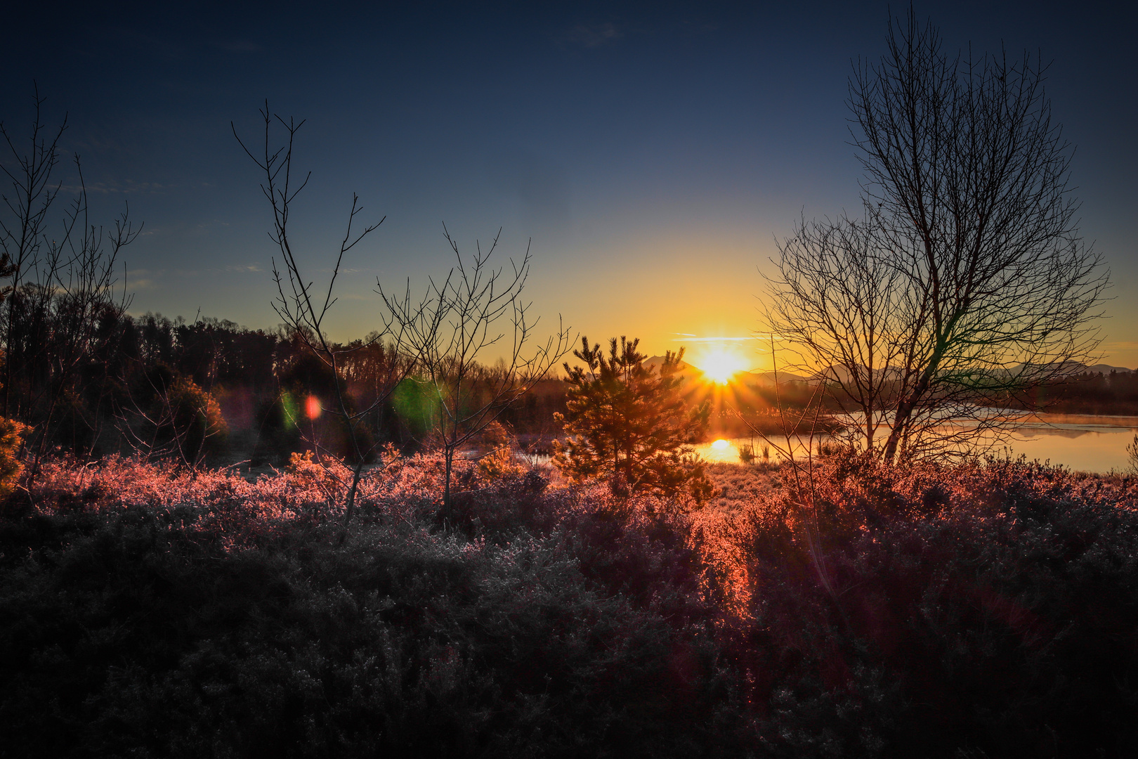 Sonnenaufgang im Moor