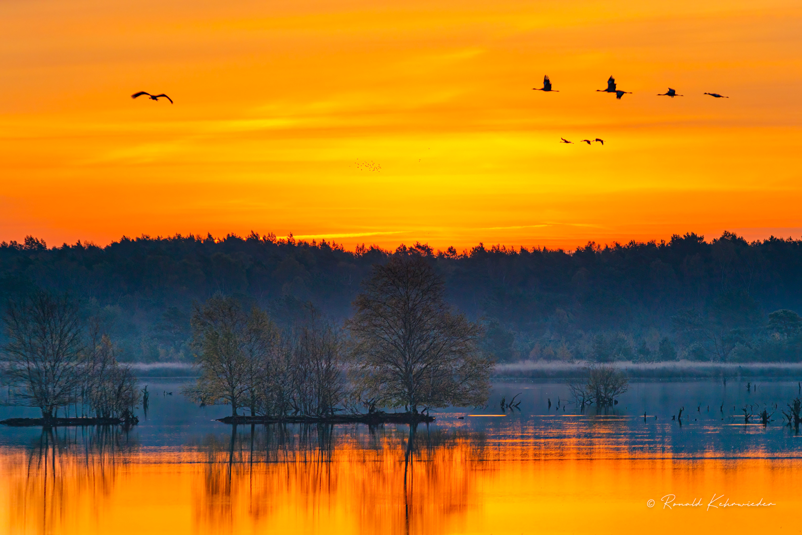 Sonnenaufgang im Moor