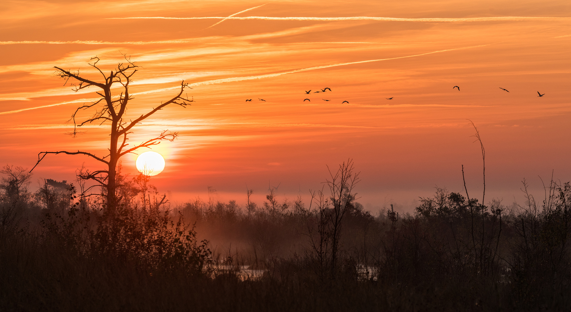 ___Sonnenaufgang im Moor___