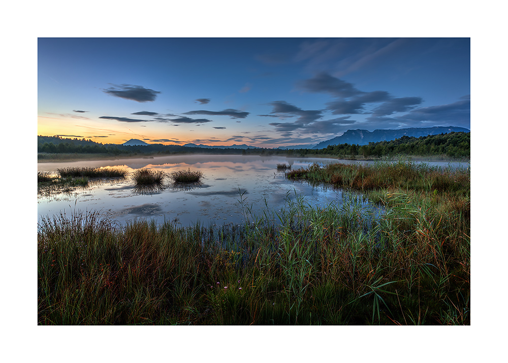 Sonnenaufgang im Moor