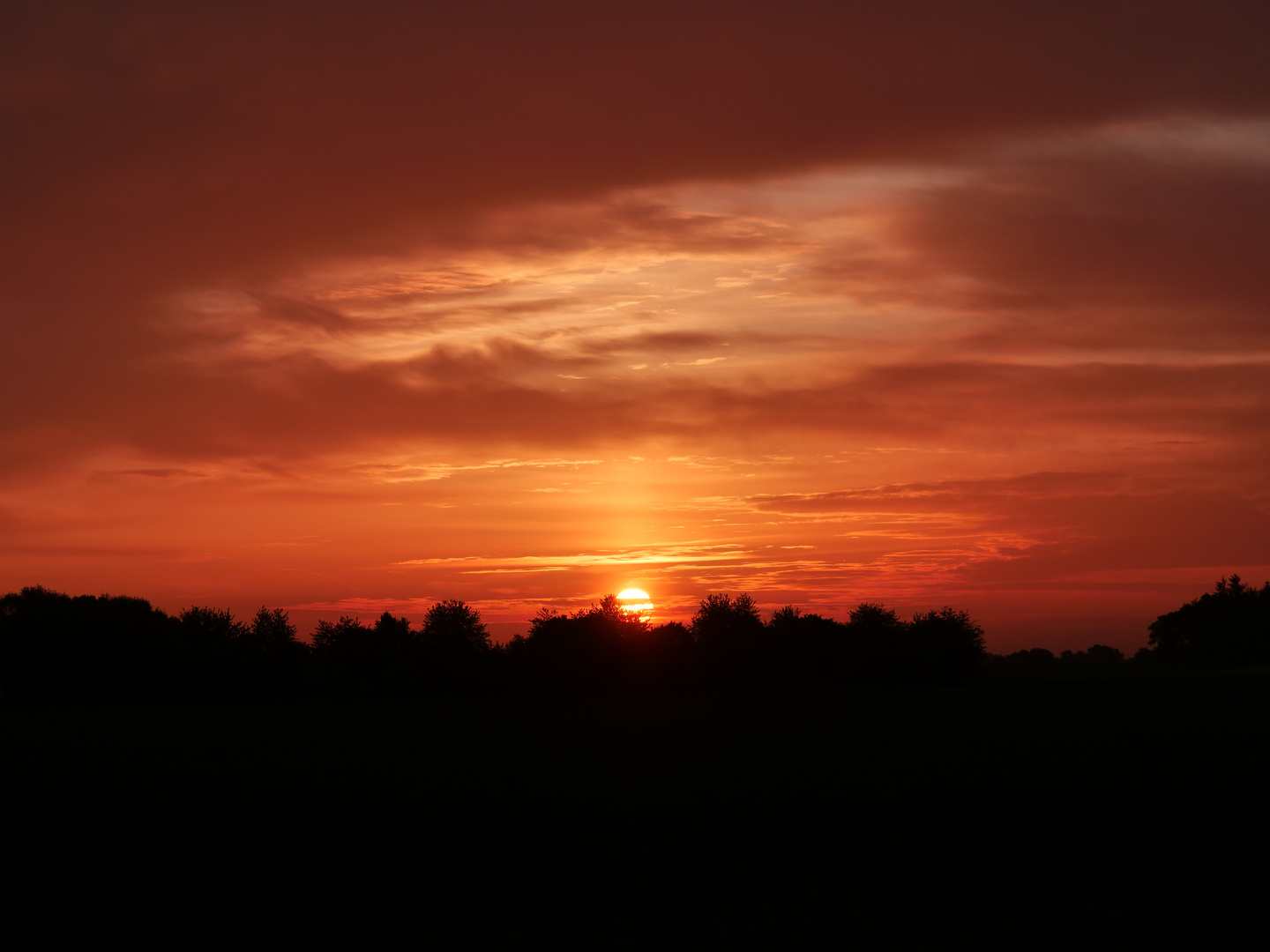 Sonnenaufgang im Moor