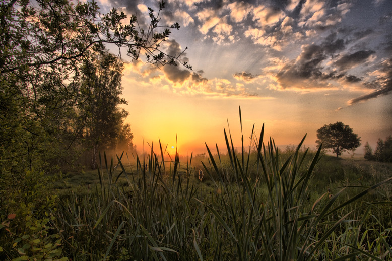 Sonnenaufgang im Moor