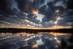 Sonnenaufgang im Moor