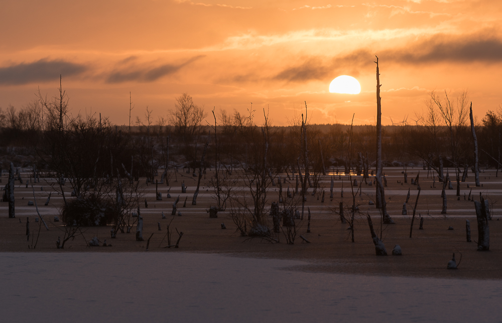 sonnenaufgang im Moor